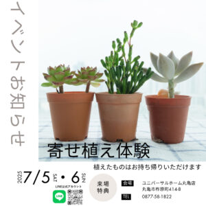 多肉植物寄せ植え体験。お持ち帰りも