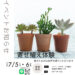 多肉植物寄せ植え体験。お持ち帰りも