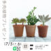 浄水器づくり　7/12（土）・13（日）