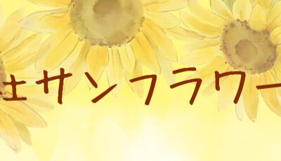 アンティーク調内装平屋の見学会　1/31（土）