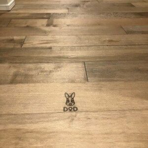 今週末は第3弾キャンパーの住みか完成見学会