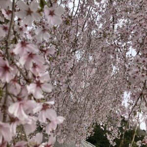 最終床暖房体感会&住宅資金・マイホーム相談会