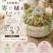 多肉植物の寄せ植え体験　5/2・3