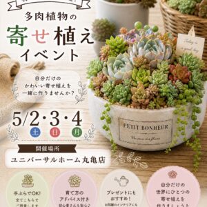 多肉植物の寄せ植え体験　5/2・3・4